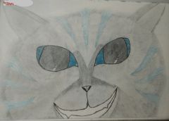 Cheshire Cat