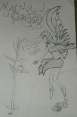 Curious Fairy