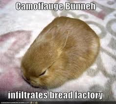 Bread bunny