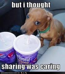Sharing caring