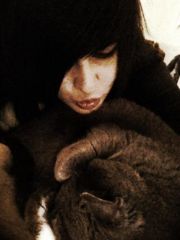 mah kittehh <3