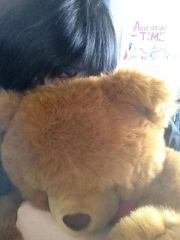 teddy barrrr