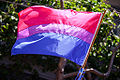Bisexual flag