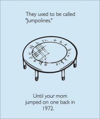 523930 353270984742233 1792034781 N