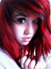 Meow3