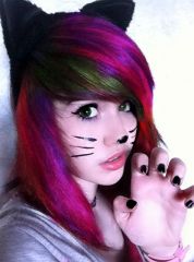 Meow6