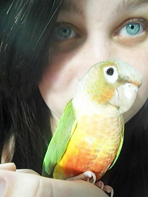 My girl and her conure. (Mango)