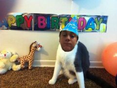 It's my brothers birthday so i turned him into a cat.