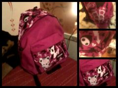 i'm painting my school bag...
