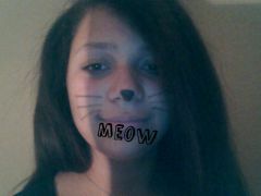 Im A kitty