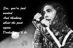 Vic quote