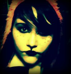 Nepeta