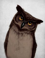 BROWN OWL