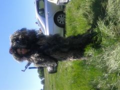 my guilley suit. baby Chewbacca style.