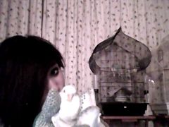 Snapshot 20120501 17
