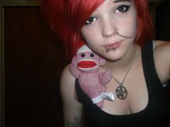 sock monkey