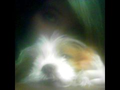 me and my puppy