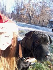me and the old neighbor dog
