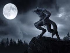 Something I Would Do If I Was A Werewolf.