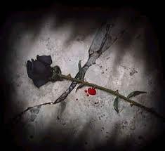 A Broken Ross..... Follows A Broken Heart.