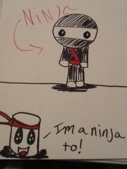 Ninja time!
