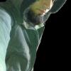 Shafiq.ahmad_pk