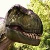 Dinosaur